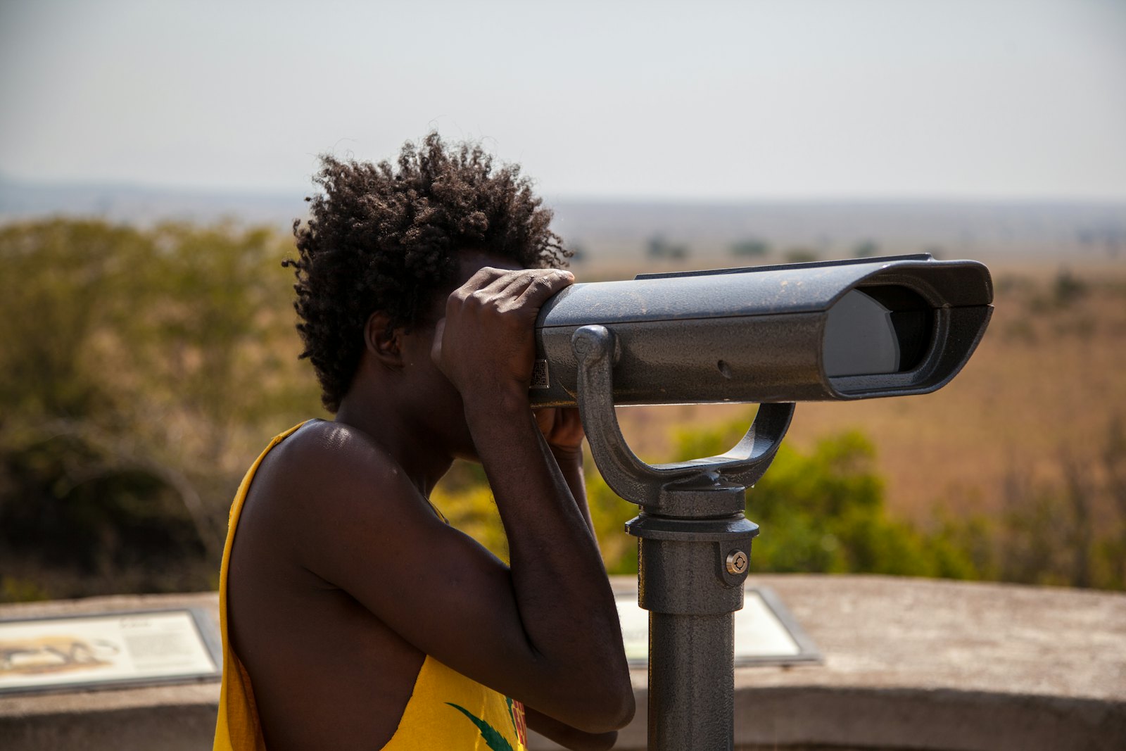 A person leaning into a coin-operated lookout telescope, observing a savanna in the distance — you keep feeding the machine to keep watching.