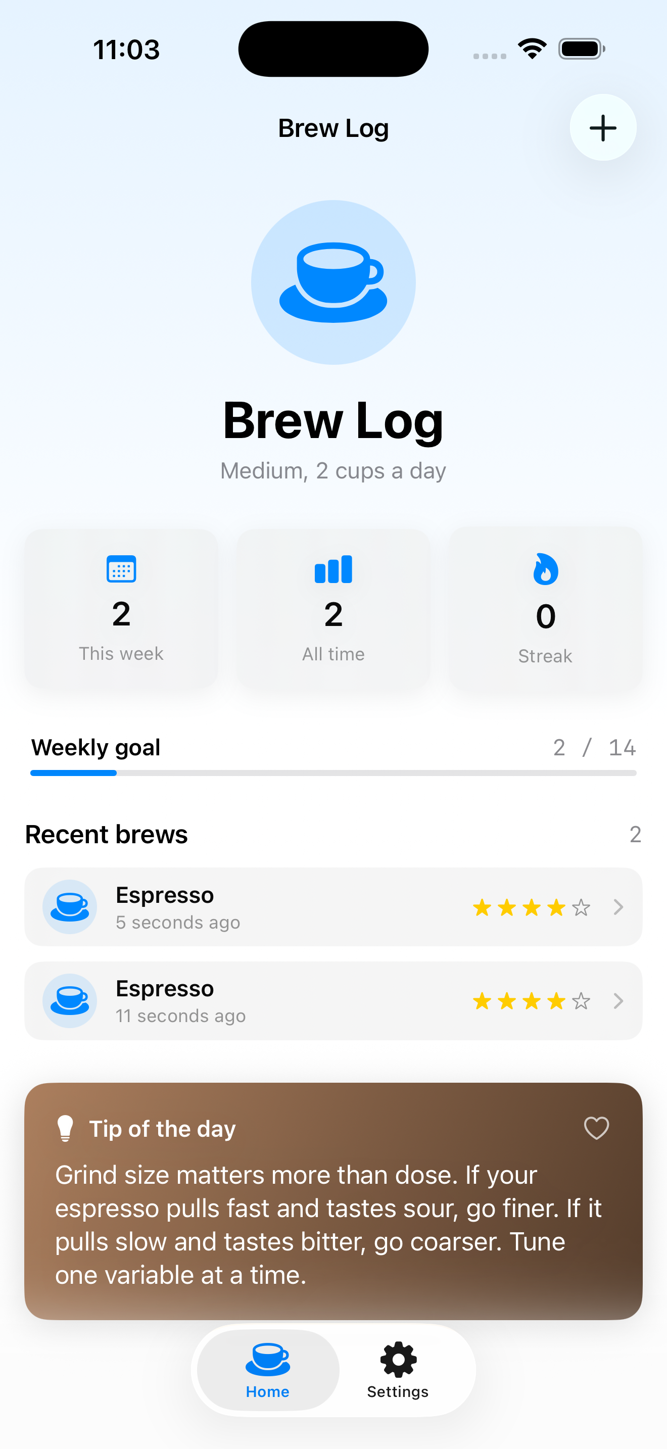BrewLog with persisted brews after relaunch